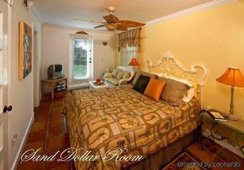 Beachfront Bed & Breakfast St. Augustine Exterior photo